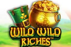 Jugar Wild Wild Riches